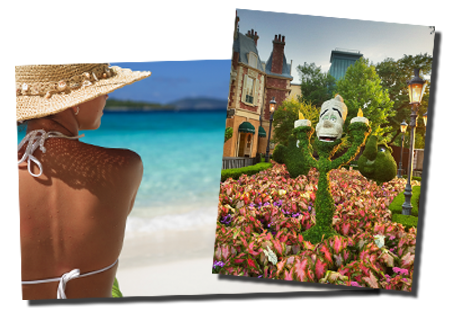 Poster Special! 20x30's starting at $10.95!