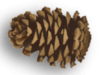 Captcha image 3829